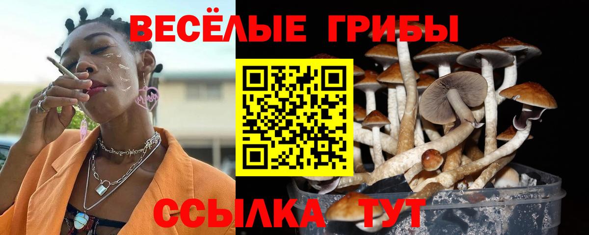 Псилоцибиновые грибы Magic Shrooms  Галлюциногенные грибы Psilocybe  Вход с VPN  даркнет сайт  Воткинск 
